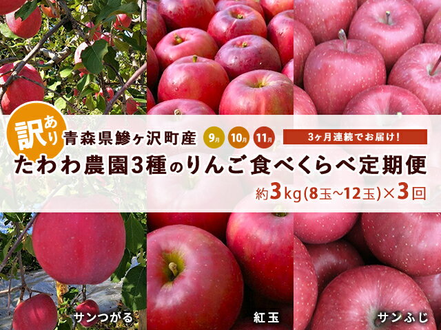 【ふるさと納税】りんご 定期便 3ヶ月 青森 訳あり リンゴ 3種 サンつがる 紅玉 サンふじ 約3kg (8～12玉) 3回 たわわ農園 フルーツ 果物 定期 9月・10月・11月発送予定 オンライン決済限定 　お届け：2025年9月中旬頃より発送予定