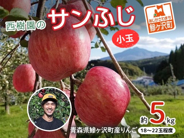 【ふるさと納税】りんご 訳あり 青森 サンふじ リンゴ 小玉 約 5kg （18～22玉） 青森県 鰺ヶ沢町産 西樹園 フルーツ 果物 果物類 白神山地 林檎 サンフジ ふじ　お届け：2025年11月15日～2026年1月10日