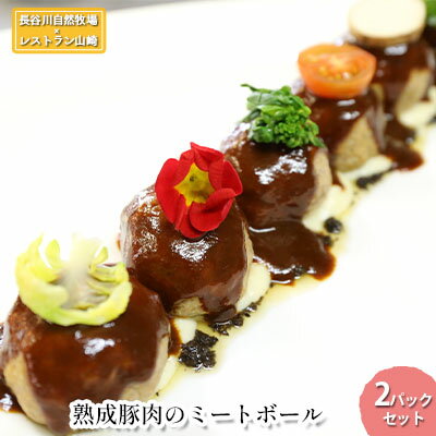 【ふるさと納税】熟成豚肉 ミートボール 2パック セット 詰め合わせ 長谷川自然牧場 レストラン山崎 冷凍 加工肉 加工品 豚 豚肉 お肉 肉 おつまみ つまみ...