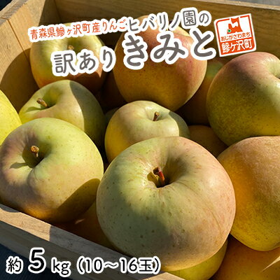 【ふるさと納税】りんご 訳あり 青森 きみと リンゴ 約 5