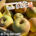 【ふるさと納税】りんご 訳あり 青森 きみと リンゴ 約 5kg (10~16玉) 青森県 鰺ヶ沢町産 ヒバリノ園 フルーツ 果物 林檎 青森県産 2024 ※オンライン決済のみ お届け:2025年11月15日~11月25日