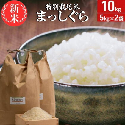 青森県鰺ヶ沢町【令和5年産】特別栽培米 まっしぐら 白米 10kg（5kg×2袋）　【 ご飯 お弁当 おにぎり 】　お届け：令和5年10月中旬頃より順次配送予定