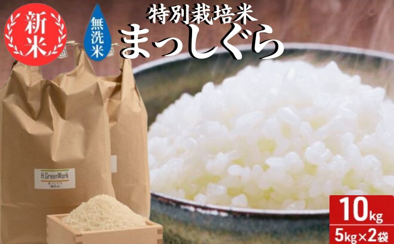 【ふるさと納税】青森県鰺ヶ沢町【令和5年産】特別栽培米 まっしぐら 無洗米 10kg（5kg×2袋）　【 ご飯 お弁当 おにぎり 】　お届け：令和5年10月中旬頃より順次配送予定