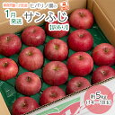 【ふるさと納税】【1月発送】【訳あり】ヒバリノ園のサンふじ 約5kg(14~18玉)青森県鰺ヶ沢町産りんご※オンライン決済のみ 果物 フルーツ デザート シャキシャキ お届け:2026年1月5日~2026年1月15日