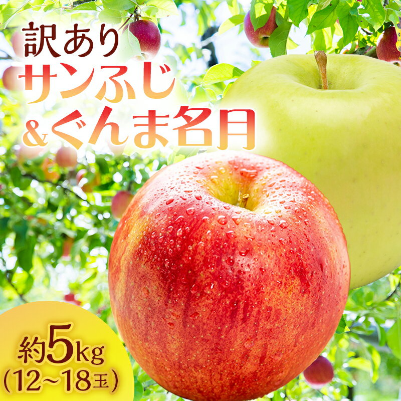 【ふるさと納税】【訳あり】サイキチ農園のサンふじ・ぐんま名月セット 約5kg(12～18玉) 青森県鰺ヶ沢町産りんご　【 果物 フルーツ 果汁たっぷり りんご食べ比べ 】　お届け：2024年11月5日～12月10日