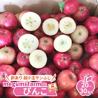 【ふるさと納税】青森県鰺ヶ沢町産りんご megumi far