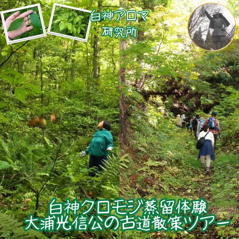 【ふるさと納税】【白神アロマ研究所】大浦光信公の古道散策＆白神クロモジ蒸留体験ツアー（1泊2日・1組2名様）