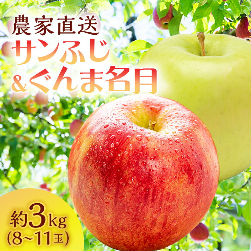 サイキチ農園のサンふじ ぐんま名月 約 3kg (8〜11玉) 青森県鰺ヶ沢町産りんご お届け:2025年11月5日〜12月10日