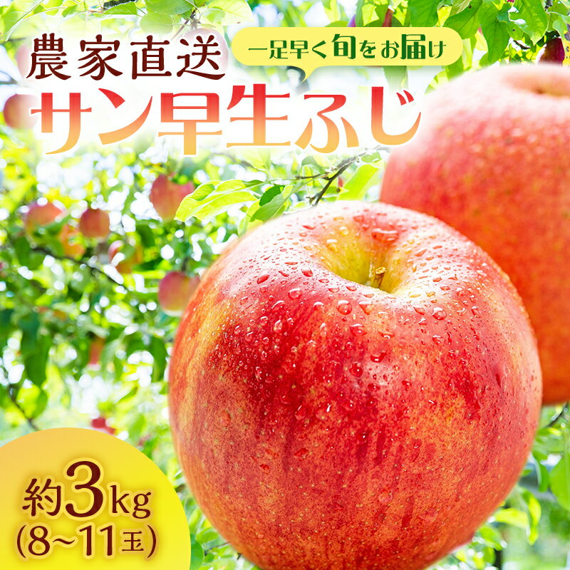 サイキチ農園のサン早生ふじ ( 弘前ふじ ) 約 3kg (8〜11玉) 青森県鰺ヶ沢町産りんご お届け:2025年10月1日〜10月10日
