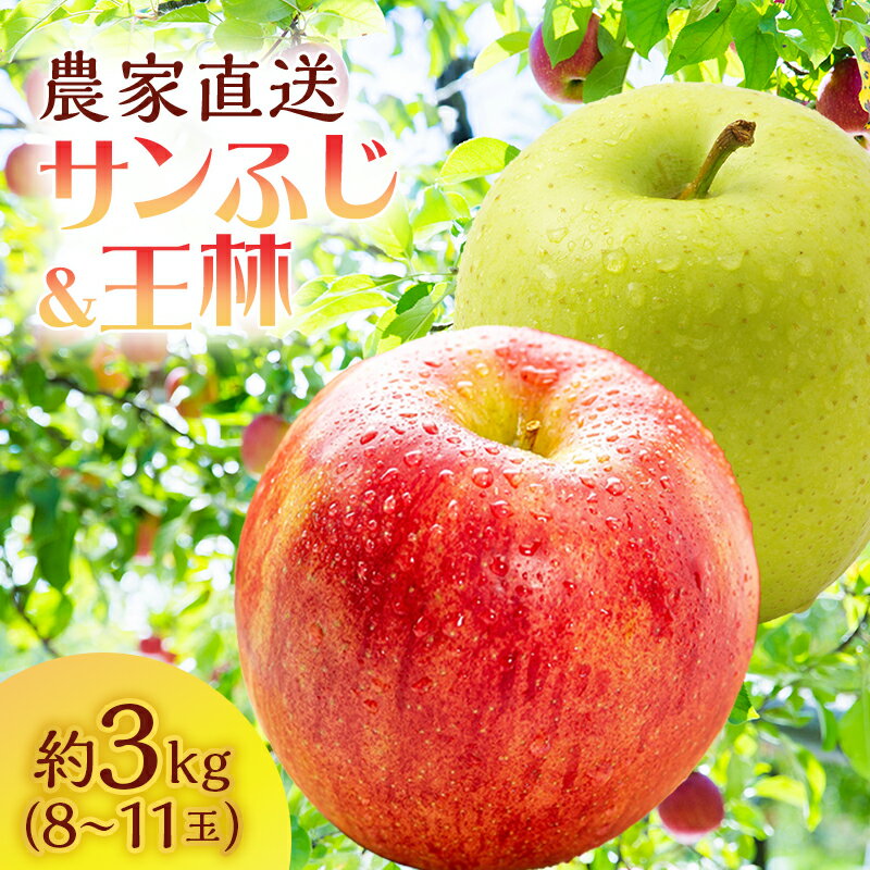 サイキチ農園のサンふじ 王林 約 3kg (8〜11玉)青森県鰺ヶ沢町産りんご お届け:2025年11月15日〜2026年1月10日