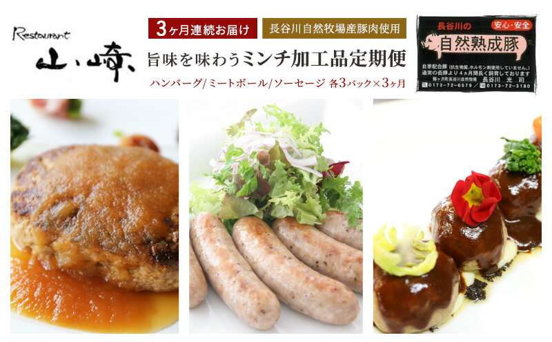 【ふるさと納税】【3ヶ月連続お届け】【長谷川自然牧場産豚肉使用】【お家レストラン】旨味を味わうミンチ加工品定期便(ハンバーグ/ミートボール/ソーセージ各3パック×3ヶ月)