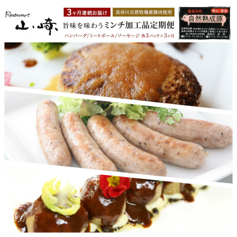 【ふるさと納税】【3ヶ月連続お届け】【長谷川自然牧場産豚肉使用】【お家レストラン】旨味を味わうミンチ加工品定期便(ハンバーグ/ミートボール/ソーセージ各3パック×3ヶ月)のサムネイル