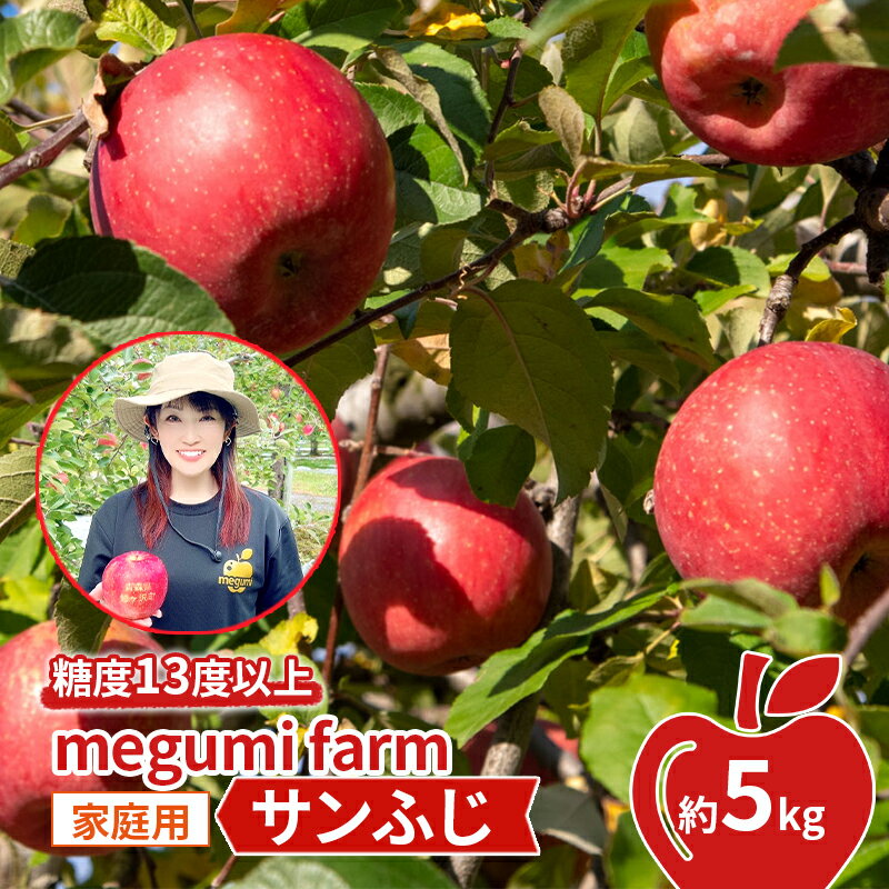 【ふるさと納税】りんご 【 数量限定 】 糖度13度以上 家庭用 サンふじ 約 5kg 糖度 青森 果物 くだもの フルーツ 青森県 鰺ヶ沢　お届け：2024年11月20日～2024年12月15日のサムネイル