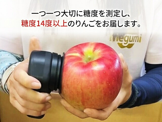 【ふるさと納税】【11月中旬発送】数量限定 訳あり りんご 糖度14度以上 保証 家庭用 サンふじ 約 5kg 果物 高糖度 農家直送 megumi farm青森県 鰺ヶ沢町　お届け：2025年11月20日～2025年12月下旬 f023213-ajigasawa-10001128 青森県鰺ヶ沢町 サンプル画像2