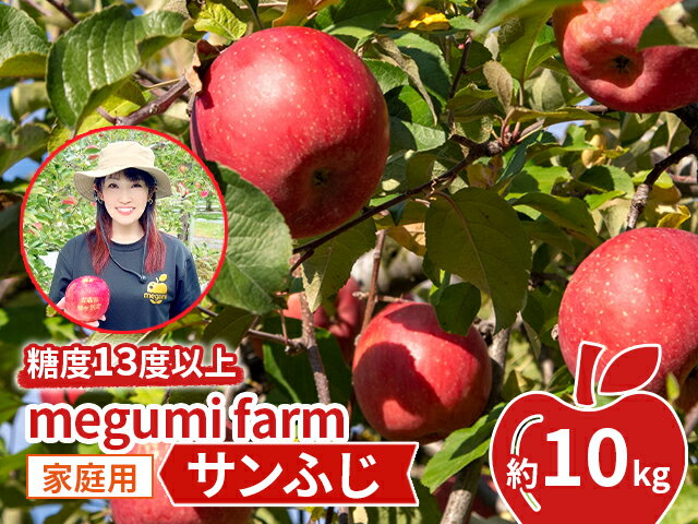【ふるさと納税】りんご 【 数量限定 】 糖度13度以上 家庭用 サンふじ 約 10kg 糖度 青森 果物 くだもの フルーツ 青森県 鰺ヶ沢　お届け：2025年11月20日～2025年12月15日