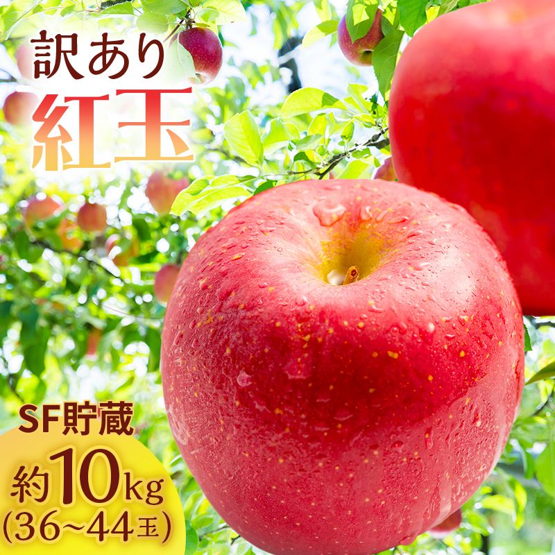 りんご 訳あり スマートフレッシュ 紅玉 約 10kg (36〜44玉) 青森県産 リンゴ サイキチ農園 青森県 鰺ヶ沢町産 フルーツ 果物 不揃い 傷 林檎 お届け:2025年12月10日〜2025年12月27日