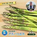 【ふるさと納税】夏アスパラガス 約1kg L~2L 混合 斎藤農園 野菜 アスパラガス 栄養豊富 ほんのり甘い 肉質しっかり あっさりとした食味 おつまみ 料理 お弁当 食材 お届け:2025年7月下旬~2025年9月中旬