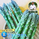 【ふるさと納税】夏アスパラガス 約1.2kg +100g M〜L 混合 古川農園 ※オンライン決済限定 野菜 アスパラガス アスパラ 栄養豊富 ほんのり甘い 肉...