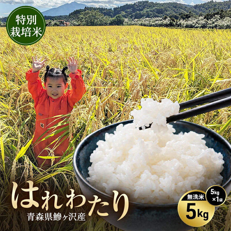 令和8年産 米 特別栽培米 はれわたり 5kg [無洗米] 青森県産 新米 先行予約 精米 5キロ (5kg×1) 特A 小分け 一人暮らし 鰺ヶ沢町 送料無料《H.GREENWORK》【10月中旬以降順次発送】 お届け：2026年10月中旬～2027年6月上旬