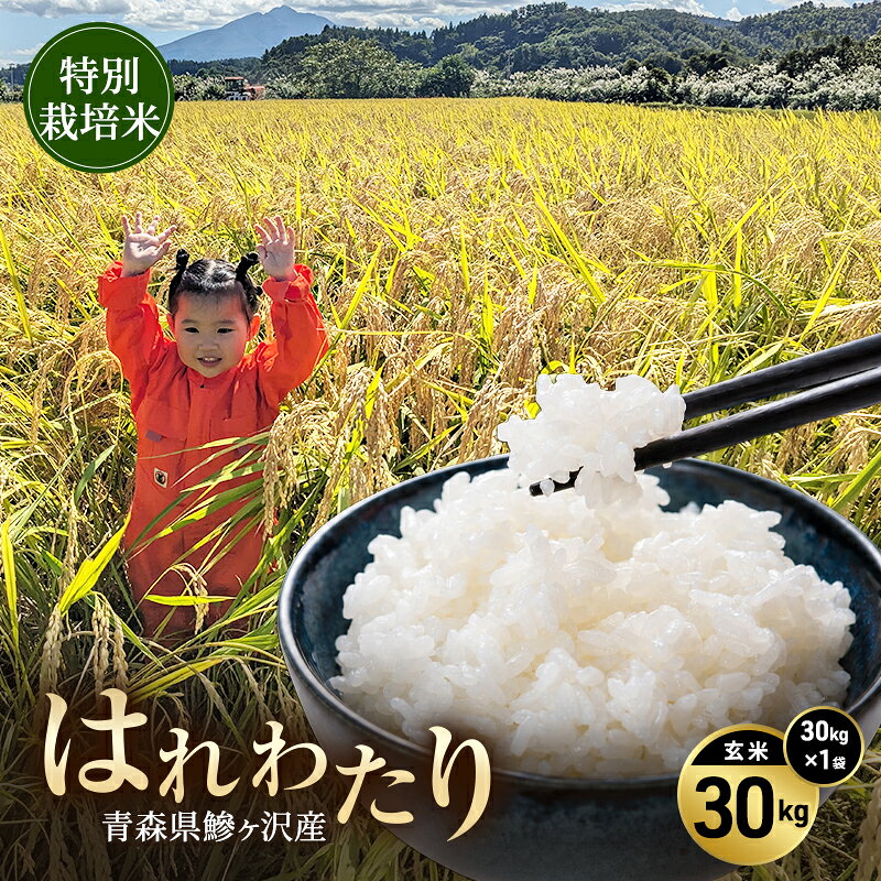 令和8年産 米 特別栽培米 はれわたり 30kg [玄米] 青森県産 新米 先行予約 30キロ (30kg×1) 特A 大容量 鰺ヶ沢町 送料無料《H.GREENWORK》 【10月中旬以降順次発送】 お届け：2026年10月中旬～2027年6月上旬