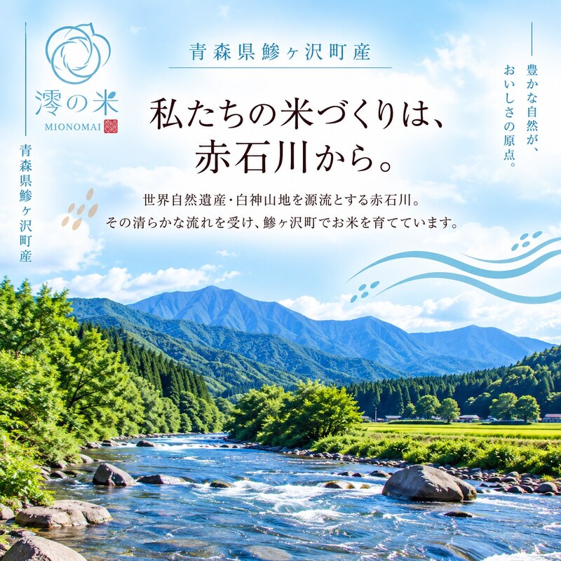 【ふるさと納税】【6回定期便】米 5kg 無洗米 はれわたり イワモトファーム 青森県産 令和8年産 6ヶ月 定期便 新米 ごはん ご飯 節水 時短 手軽 ブランド米 直送 農家直送 お取り寄せ お米 こめ コメ 白飯 国産 お弁当 もっちり 送料無料　お届け：2026年10月中旬～ f023213-ajigasawa-10001267 青森県鰺ヶ沢町 サンプル画像3