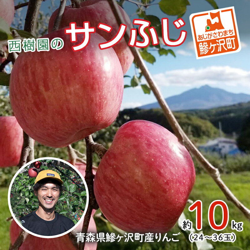 【ふるさと納税】りんご 青森 サンふじ リンゴ 約 10kg
