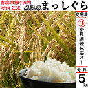 【ふるさと納税】定期便 3か月連続でお届け(毎月中旬) 青森...