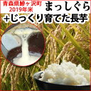 【ふるさと納税】青森県鰺ヶ沢町 2019年産米 新米まっしぐ...