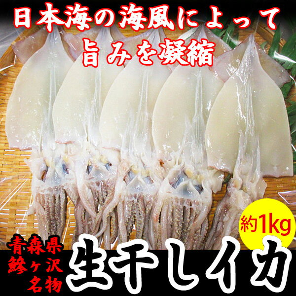 【ふるさと納税】青森県鰺ヶ沢町　生干しイカ　5枚セット ※お申込みから3〜6ヶ月以内の発送になります。