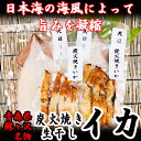 【ふるさと納税】青森県鰺ヶ沢町 生干しイカ 3枚、炭火焼きイ...