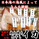 【ふるさと納税】青森県鰺ヶ沢町 生干しイカ 4枚、炭火焼きイ...