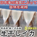 【ふるさと納税】青森県鰺ヶ沢町 生干しイカ 3枚セット ※お...