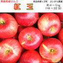 【ふるさと納税】〔青森県産りんご〕青森県鰺ヶ沢町 さいきち農...