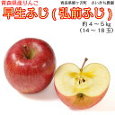 【ふるさと納税】〔青森県産りんご〕青森県鰺ヶ沢町 さいきち農...
