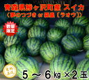 【ふるさと納税】産地直送!青森県鰺ヶ沢町産 スイカ(5〜6k...