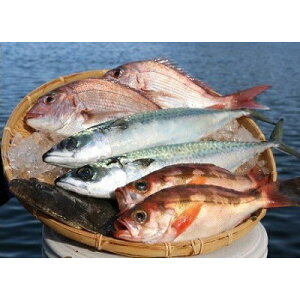 【ふるさと納税】大漁まるごと海鮮セット　【魚介類・海鮮セット・海鮮】