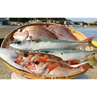 【ふるさと納税】豪華まるごと海鮮セット　【魚介類・海鮮セット