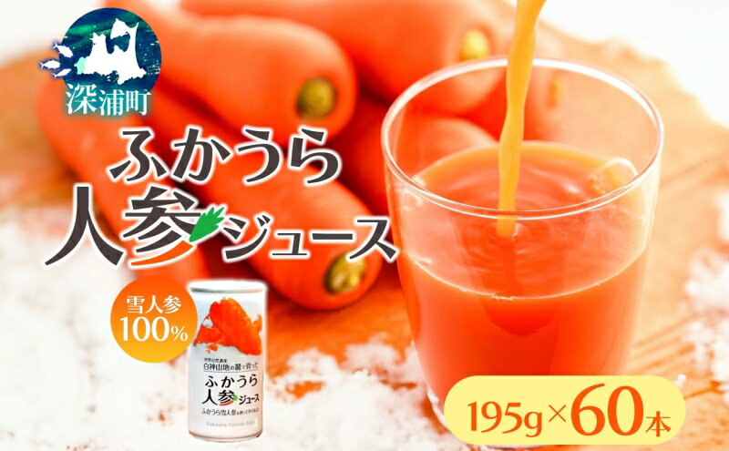 【ふるさと納税】【7月より順次発送】ふかうら人参ジュース195g×60本　【果汁飲料・野菜飲料・にんじんジュース・人参ジュース・人参・野菜ジュース】　お届け：2024年7月より順次発送