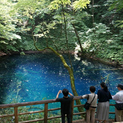 アオーネ白神十二湖　ペア宿泊券（1泊2食付）十二湖トレッキング体験付き　【旅行・宿泊券・体験チケット】