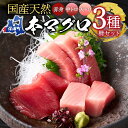 【ふるさと納税】国産天然本マグロの赤身・中トロ・大トロセット