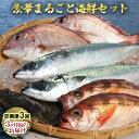 【ふるさと納税】豪華まるごと海鮮セット定期便3回お届け　【定期便・ 魚介類 海の幸 お楽しみ 丸ごと 切り身 詰め合わせ 】