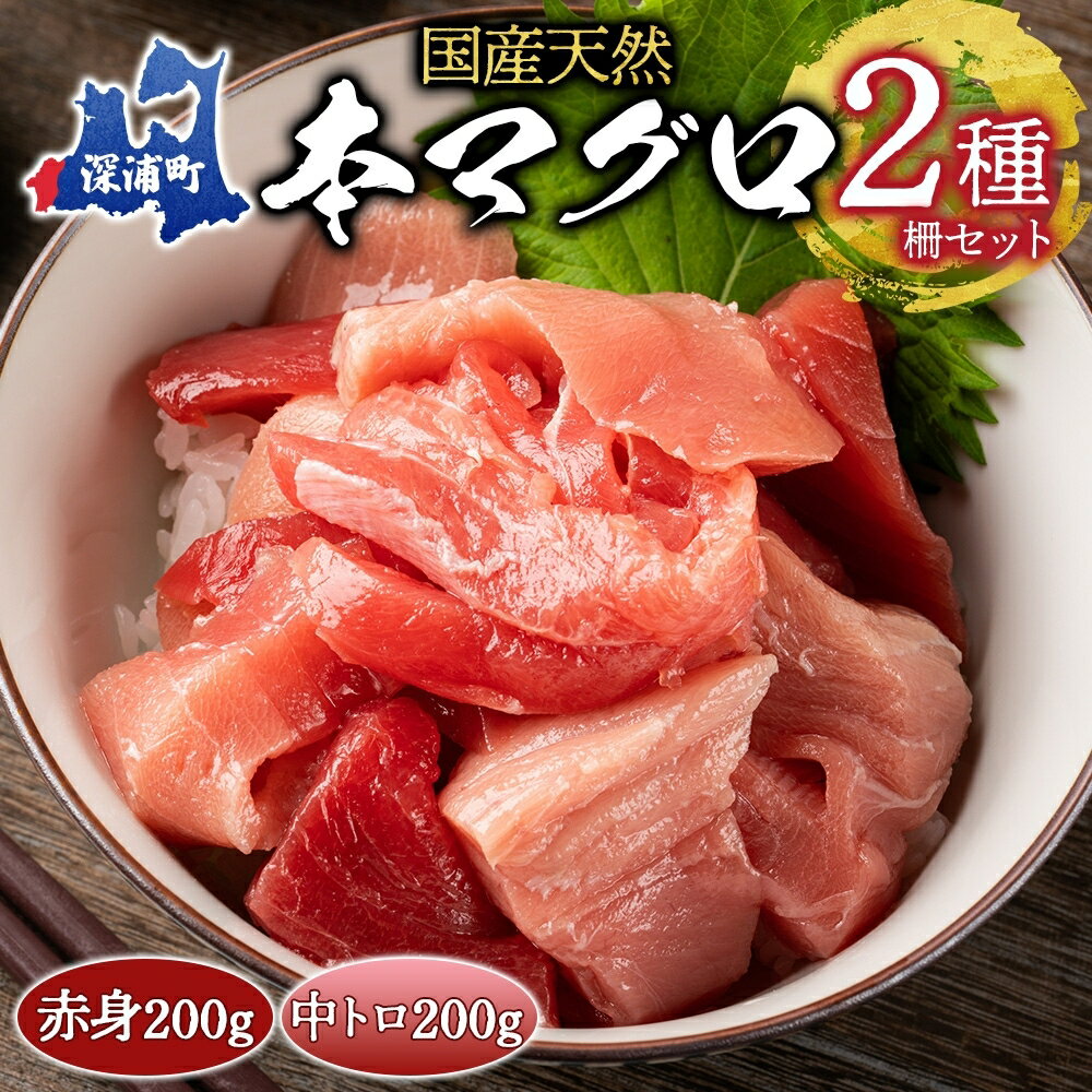 【ふるさと納税】国産天然本マグロの赤身・中トロセット　C-0