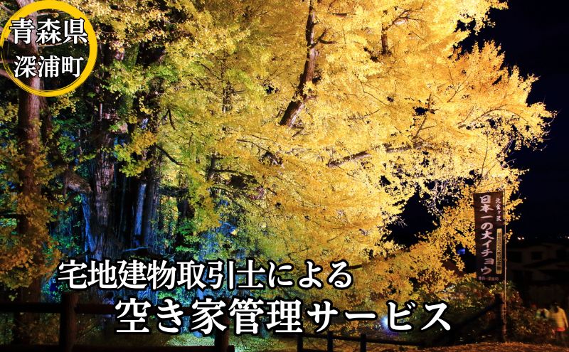 【ふるさと納税】空き家の管理（B通常コース6回）　【 空き家の管理 外観確認 内部確認 写真付き報告書 ポスト管理 草取り 雪かき 換気 通水 建具点検 】 2