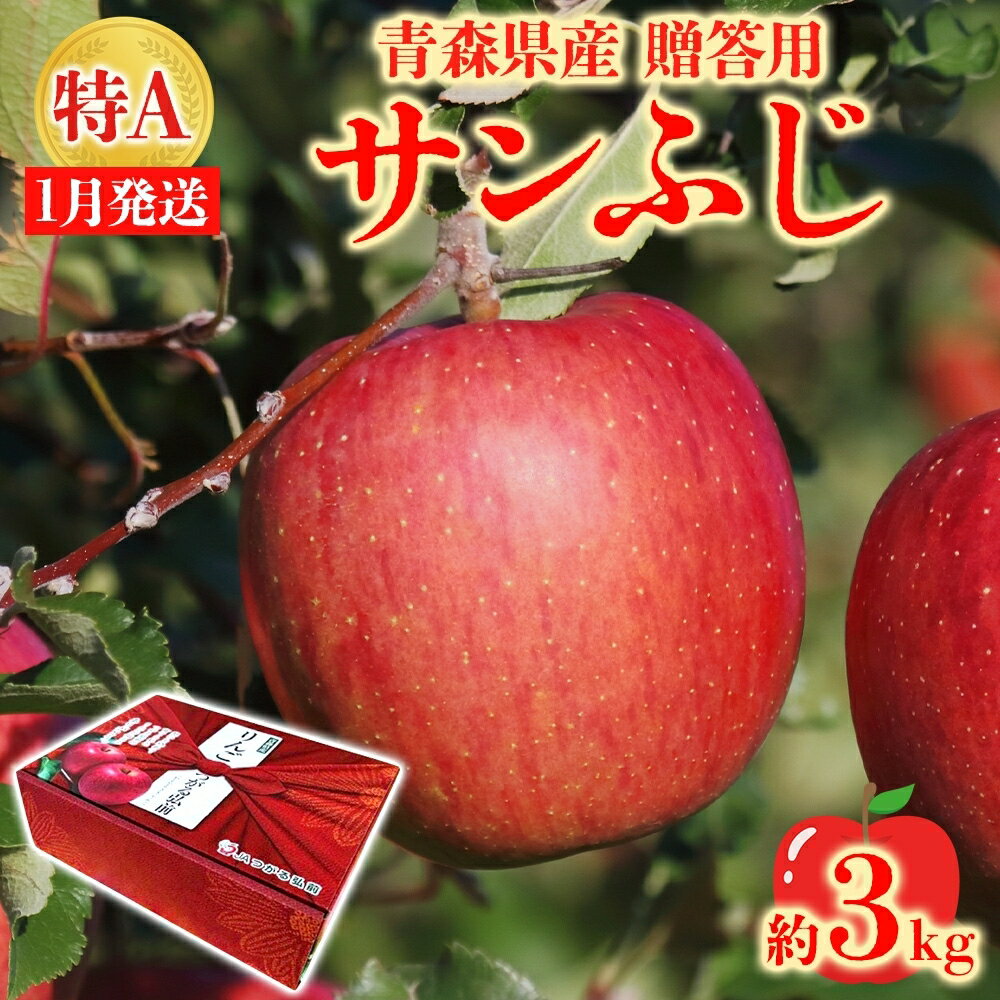 【ふるさと納税】サンふじ 約3kg 贈答用 特A 特選 1月発送 化粧箱入 りんご 林檎 リンゴ 果物 フルーツ..