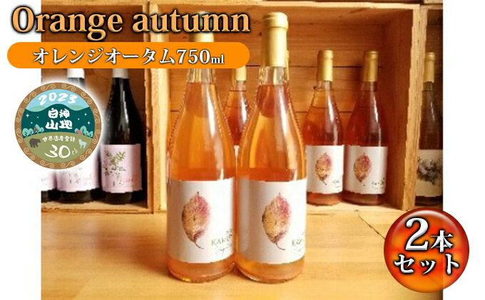 【ふるさと納税】B-17 Orenge autumu（オレンジオータム750ml）2本セット　【 お酒 ワイン ワイナリー 酸味 青デラウェア 甘味 完熟 デラウェア 醸す スパイシー 白神山地 記念 贈り物 】