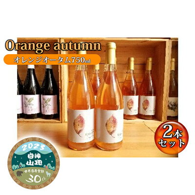 Orenge autumu(オレンジオータム750ml)2本セット [ お酒 ワイン ワイナリー 酸味 青デラウェア 甘味 完熟 デラウェア 醸す スパイシー 白神山地 記念 贈り物 ]