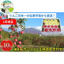【ふるさと納税】【2月発送】贈答用 サンふじ・王林詰め合わせ 約10kg【青森りんご】 果物 果実 フルーツ 新鮮 美味しい 自然環境 赤い 黄色い 太陽 ジュ...