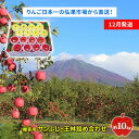 【ふるさと納税】【12月発送】贈答用 サンふじ・王林詰め合わせ 約10kg【青森りんご】 果物 フルーツ デザート 食後 新鮮 甘味が強い ジューシー 産地直送 お届け:2025年12月1日~2025年12月26日