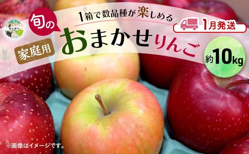 【ふるさと納税】りんご 【 1月発送 】 家庭用 旬のりんご 品種おまかせ 約 10kg 2種類～4種類　お届け：2026年1月6日～2026年1月30日
