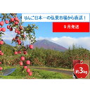 【ふるさと納税】【9月発送】家庭用 つがる 約3kg【西目屋村産・青森りんご】 りんご 林檎 リンゴ 果物 フルーツ くだもの 旬 青森県産 お取り寄せ 詰め合わせ セット 常温 産地直送 送料無料 青森県 西目屋村 お届け:2025年9月1日~2025年9月25日(4)